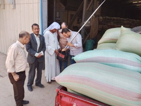 تأمين إمدادات القمح: 511 ألف طن تحت المراقبة المستمرة في المنيا
