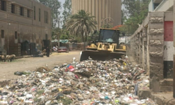 تحويل نفايات المدينة إلى جمال: خطة تحويل المقالب إلى أحواض زهور بالفيوم