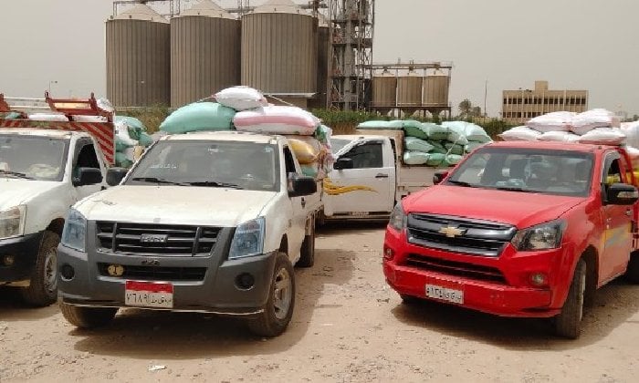 توريد 315 ألف طن من القمح إلى مخازن وصوامع البحيرة