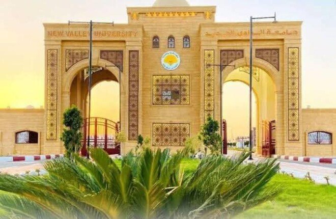 جامعة الوادي الجديد تصبح جزءًا من شبكة البريكس الجامعية