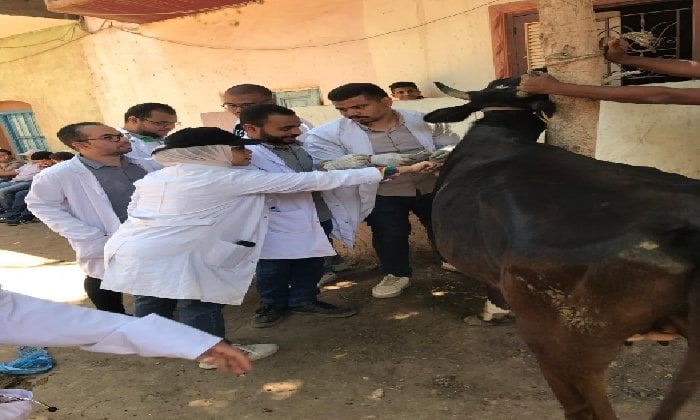 قافلة بيطرية من سوهاج تعزز حياة كريمة في قرية تونس