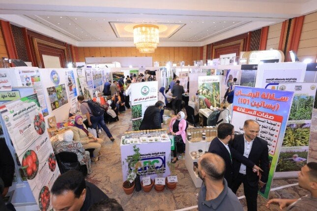 مصر تتصدر مشهد الزراعة المستدامة: مستقبل إنتاج التقاوي والكربون المنخفض