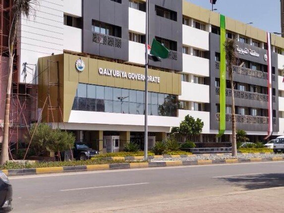 330 وظيفة جديدة في 4 شركات خاصة بالقليوبية: تفاصيل الفرص المتاحة