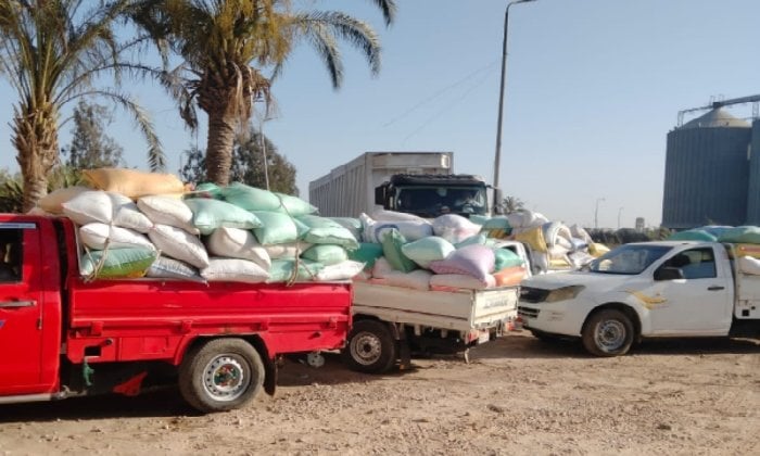 البحيرة تكمل موسم توريد القمح بإجمالي 318 ألف طن