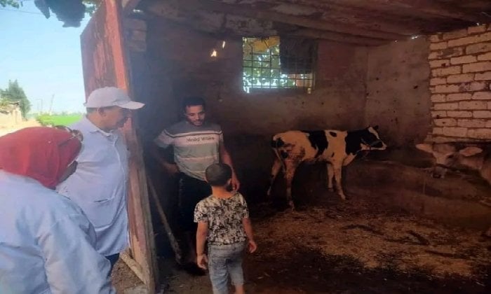 جولة مدير البيطرة في الفدادنة لمتابعة جهود مكافحة الحمى القلاعية