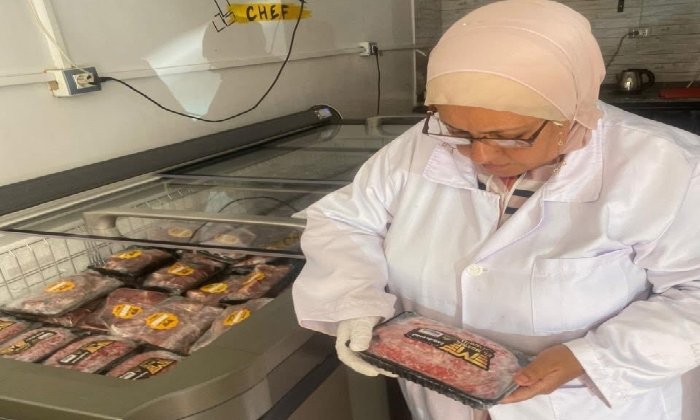 حملات تفتيشية مكثفة من مديرية الطب البيطري في بورسعيد