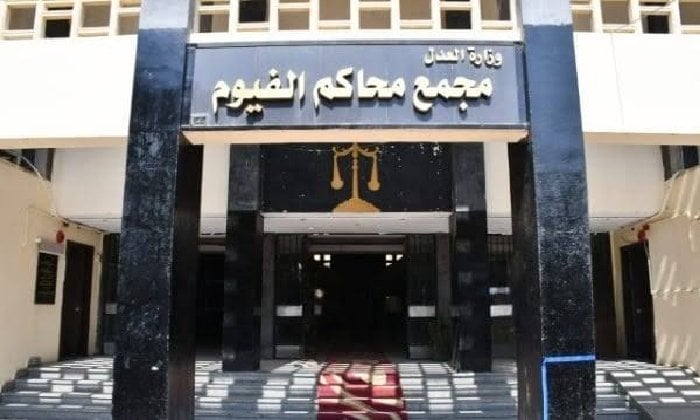 سباق انتخابات مجلس الشيوخ بالفيوم: 7 مرشحين يتنافسون على المقاعد