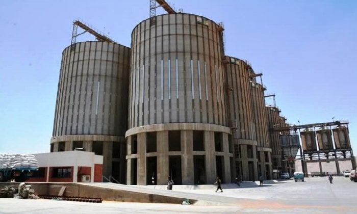 سوهاج تحقق إنجازاً استثنائياً في توريد القمح وتعيد 2.5 مليار جنيه للمزارعين
