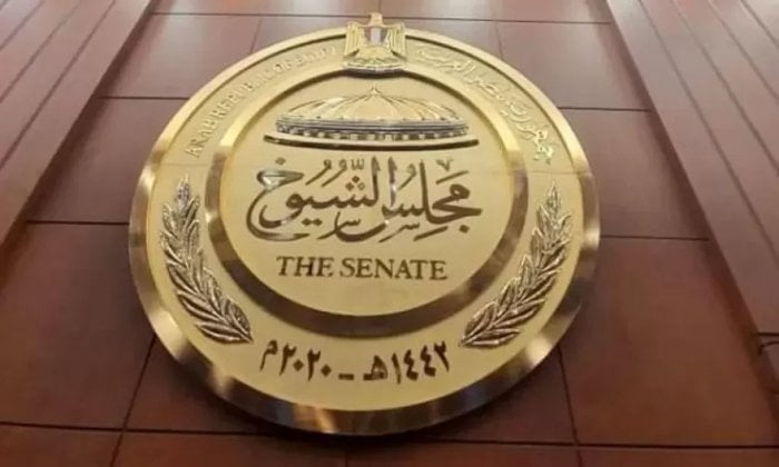 قبل انتهاء المهلة: 17 مرشحًا يتنافسون في انتخابات الشيوخ بالمنوفية