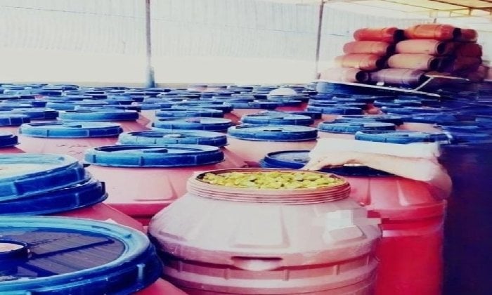 كشف مصنع مجهول لتصنيع المخللات: 100 طن من المنتجات غير مصرح بها في وادي النطرون