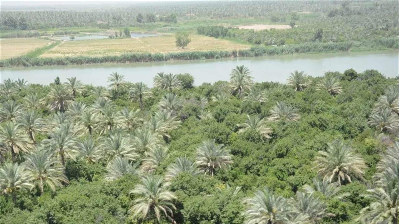 الحكومة العراقية تعلن ضوابط تحويل الأراضي الزراعية إلى سكنية للتخفيف من أزمة السكن 5 الحكومة العراقية تعلن ضوابط تحويل الأراضي الزراعية إلى سكنية للتخفيف من أزمة السكن
