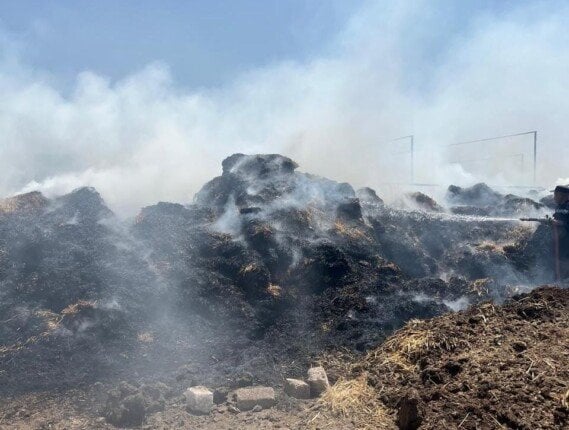 إخماد حريق في مزرعة أغنام بالقليوبية