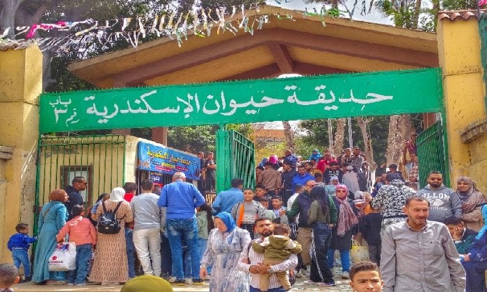 إنقاذ 18 حيوانًا مهددًا بالانقراض في كافيتريا بالإسكندرية