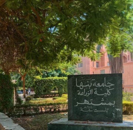 استعداد مستقبل العمل: 6 برامج دراسية فريدة باللغة الإنجليزية في زراعة بنها