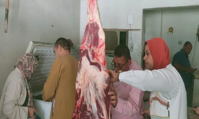 القبض على منتجات لحوم ودواجن غير صالحة للأكل في الأقصر