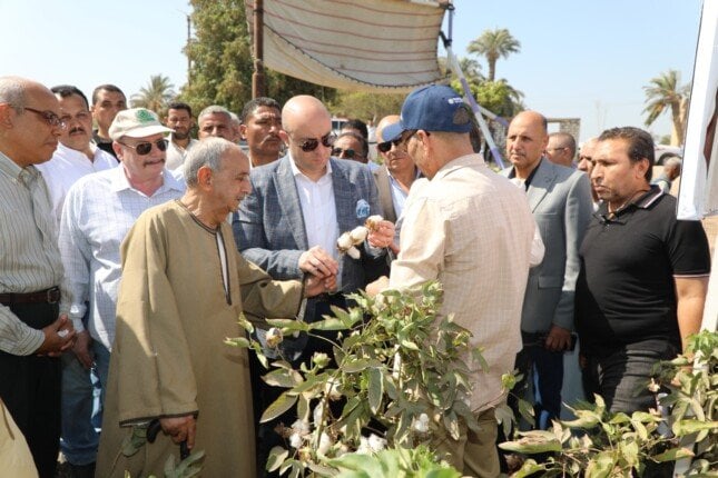 انطلاق موسم حصاد القطن في النويرة بحضور محافظ بني سويف