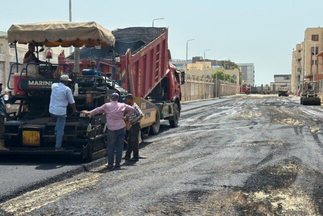 تجديد شوارع الصفوة: قسم الزهور في بورسعيد ينطلق بتطوير جديد