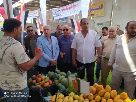تخفيض أسعار الأسماك: سوق اليوم الواحد في الإسماعيلية