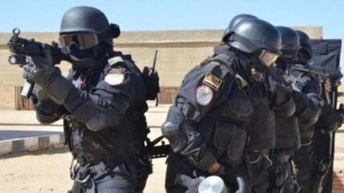 تصفية 4 عناصر إجرامية في عملية أمنية بالمنوفية