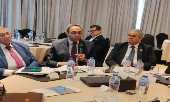تطوير المهارات الرقمية للقيادات المحلية: مشاركة محافظ قنا ونائبه في ورشة عمل بالعاصمة