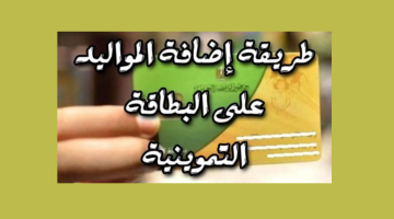 خطوات إضافة المواليد إلكترونياً 2025 عبر بوابة مصر الرقمية