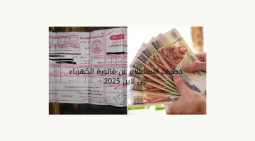 خطوات الاستعلام عن فاتورة الكهرباء أون لاين 2025 1