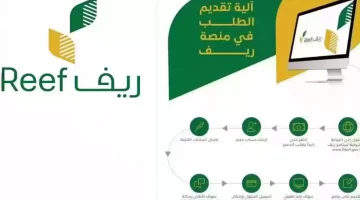 خطوات التسجيل في برنامج دعم ريف 2025