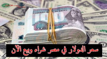 سعر الدولار في مصر 1