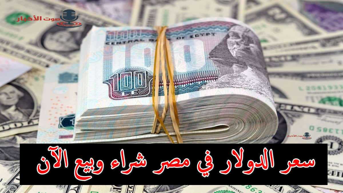شوف الأخضر بكام.. سعر الدولار في مصر اليوم مقابل الجنيه المصري شراء وبيع بعد خفض الفائدة 5 شوف الأخضر بكام.. سعر الدولار في مصر اليوم مقابل الجنيه المصري شراء وبيع بعد خفض الفائدة