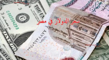 سعر الدولار في مصر 2