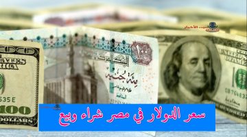 سعر الدولار في مصر