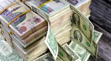 سعر الدولار في مصر