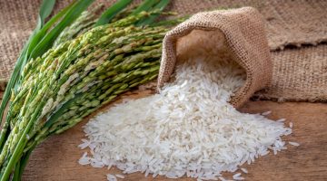 سعر طن الارز الشعير اليوم