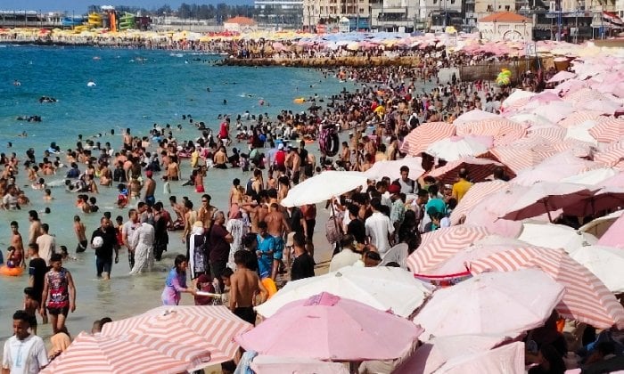 صيف في الإسكندرية: شواطئ مزدحمة وتحذيرات حمراء
