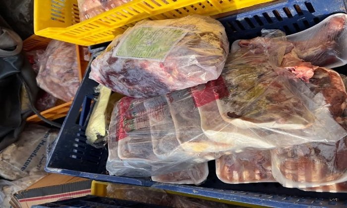 ضبط 100 كيلو من الدجاج الفاسد في المنوفية: بانيه واستربس في القضية