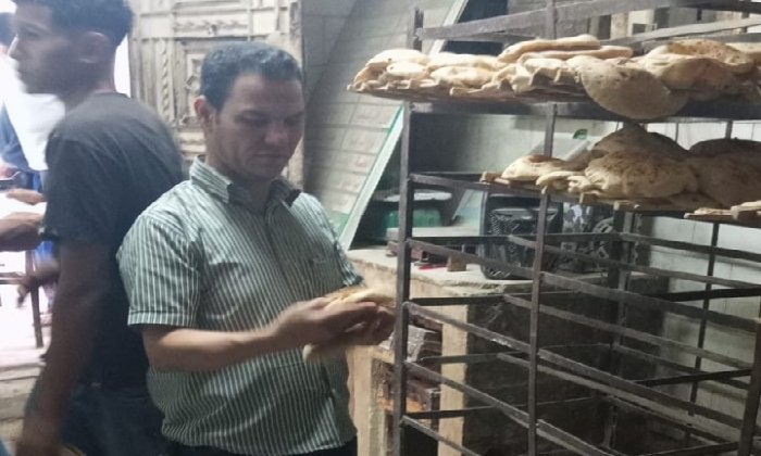 ضبط كميات كبيرة من اللحوم والسكر الفاسد في الفيوم