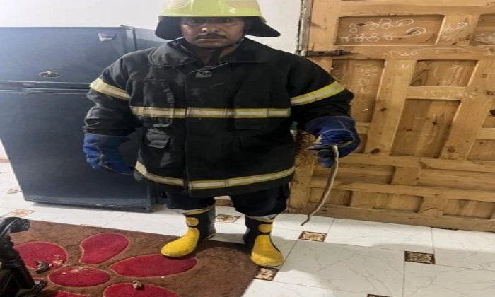 فريق الحماية المدنية ينجح في إخراج ثعبان من شقة سكنية في المنوفية