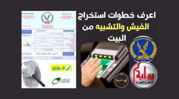 كيفية استخراج الفيش والتشبيه أون لاين 2025