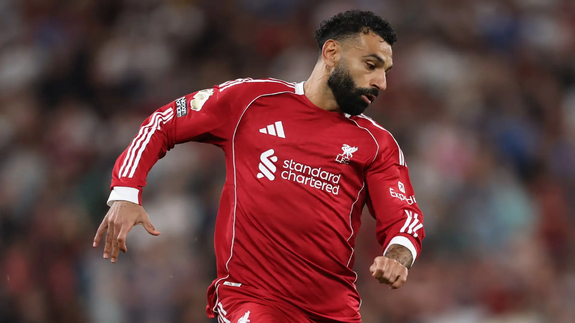 محمد صلاح يفاجئ الجميع بتصريح مثير عن المنافسة على لقب الدوري الإنجليزي 5 محمد صلاح يفاجئ الجميع بتصريح مثير عن المنافسة على لقب الدوري الإنجليزي