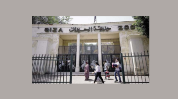 موعد افتتاح حديقة حيوان الجيزة