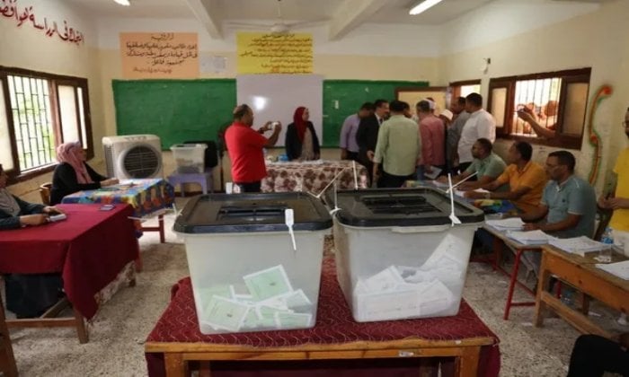 نتائج أولية لانتخابات مجلس الشيوخ في المنوفية: أبرز المؤشرات