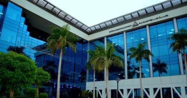 شركة كيري هولدنجز تسعى للاستحواذ على حصة كبيرة تصل إلى 90% في جي إس إف إيجيبت