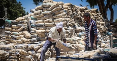 سعر الأسمنت في الأسواق المصرية يتجه نحو الاستقرار يوم السبت 27 سبتمبر 2025