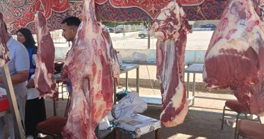 أسعار اللحوم تتغير في أسواق الأقصر ومنافذ التموين اليوم الخميس 4 سبتمبر