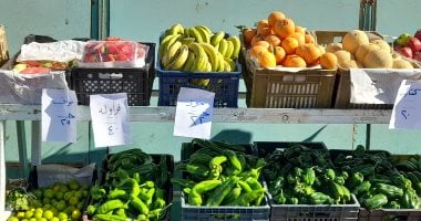 أسعار الخضروات في أسواق الدقهلية اليوم تعكس تباين الأسواق المحلية