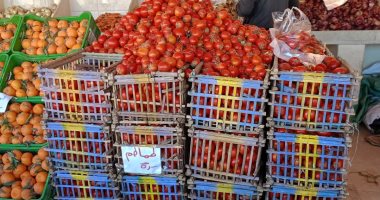 أسعار الخضروات اليوم في الأقصر الطماطم تسجل 5 جنيهات الخميس 11 سبتمبر 2025