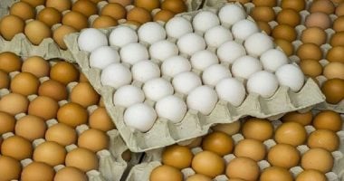 أسعار البيض في كفر الشيخ تتجاوز 150 جنيها للطبق صباح الأربعاء 10 سبتمبر 2025 5 أسعار البيض في كفر الشيخ تتجاوز 150 جنيها للطبق صباح الأربعاء 10 سبتمبر 2025