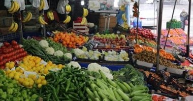 استقرار أسعار الخضراوات في أسواق مطروح اليوم الأربعاء 10 سبتمبر 2025 5 استقرار أسعار الخضراوات في أسواق مطروح اليوم الأربعاء 10 سبتمبر 2025