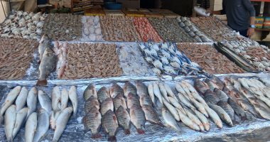 أسعار الأسماك في أسواق مطروح اليوم السبت 13 سبتمبر 2025 البلطي بسعر 80 جنيها 5 أسعار الأسماك في أسواق مطروح اليوم السبت 13 سبتمبر 2025 البلطي بسعر 80 جنيها