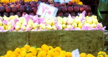 أسعار الفاكهة في أسواق الأقصر بتاريخ 10 سبتمبر 2025 تتصدر المشهد الاقتصادي 5 أسعار الفاكهة في أسواق الأقصر بتاريخ 10 سبتمبر 2025 تتصدر المشهد الاقتصادي